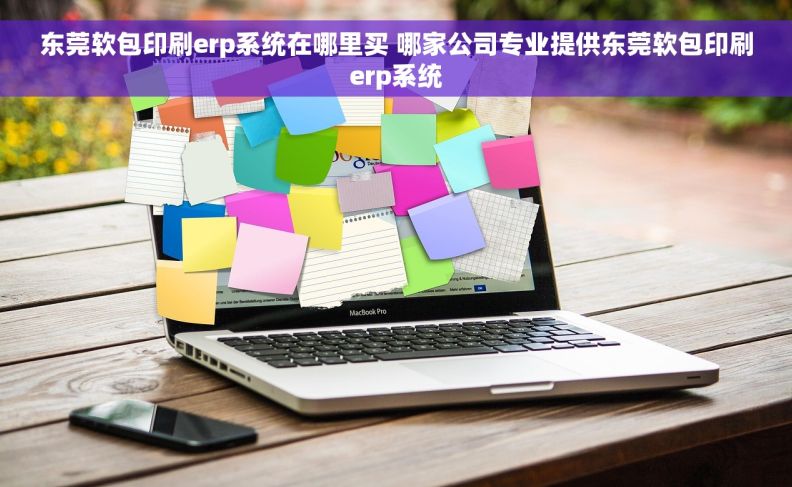 东莞软包印刷erp系统在哪里买 哪家公司专业提供东莞软包印刷erp系统