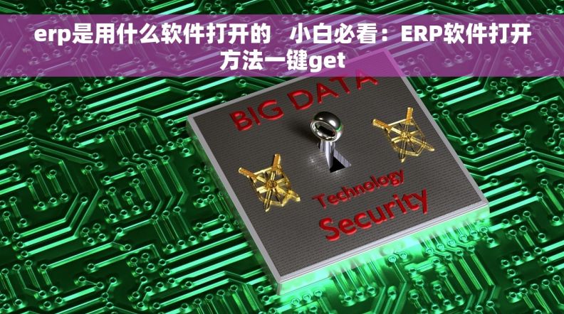erp是用什么软件打开的   小白必看：ERP软件打开方法一键get