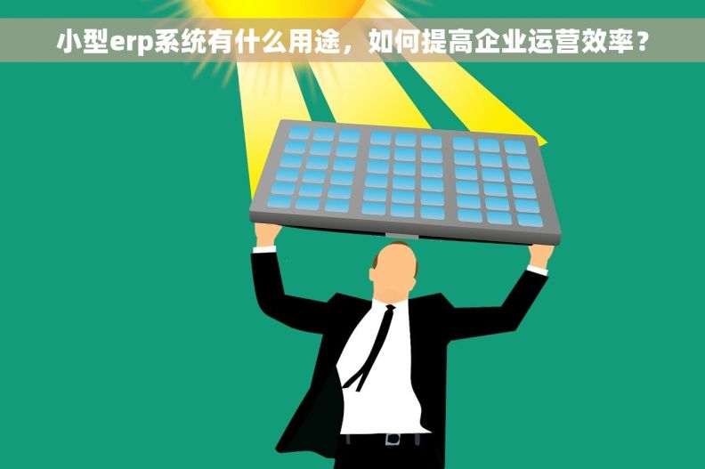 小型erp系统有什么用途，如何提高企业运营效率？