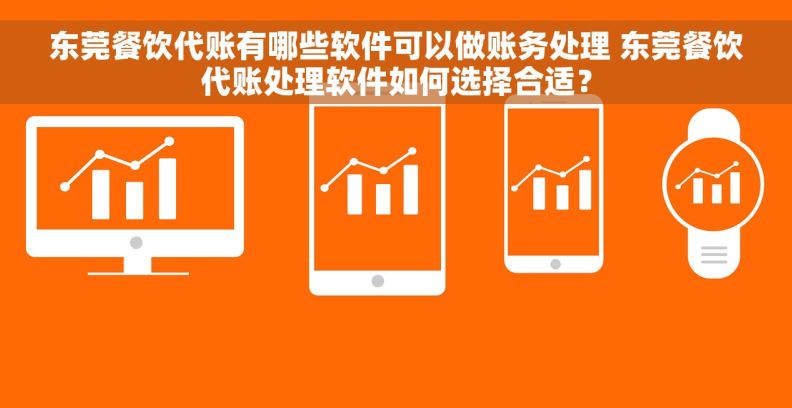 东莞餐饮代账有哪些软件可以做账务处理 东莞餐饮代账处理软件如何选择合适？