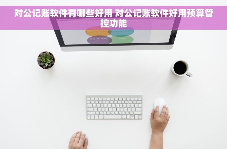 对公记账软件有哪些好用 对公记账软件好用预算管控功能