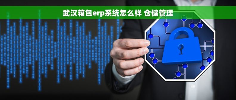 武汉箱包erp系统怎么样 仓储管理