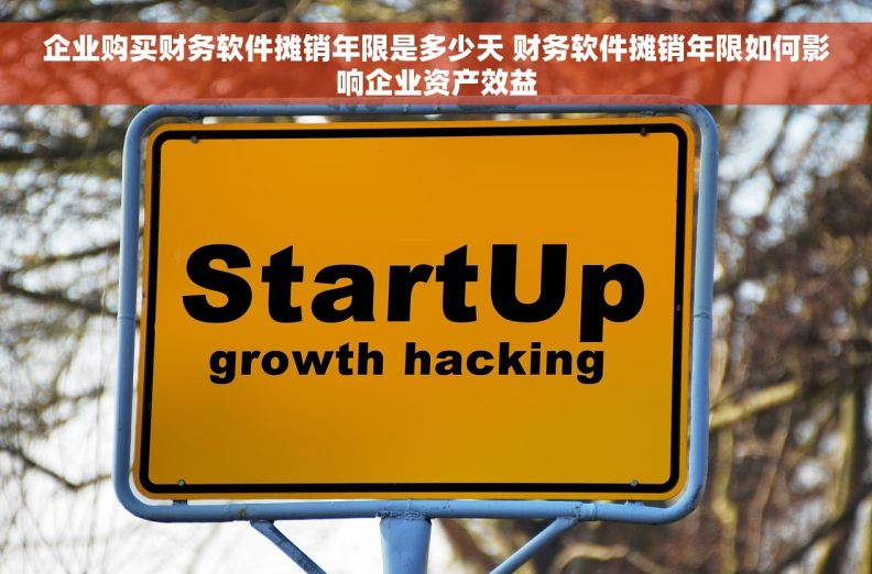 企业购买财务软件摊销年限是多少天 财务软件摊销年限如何影响企业资产效益