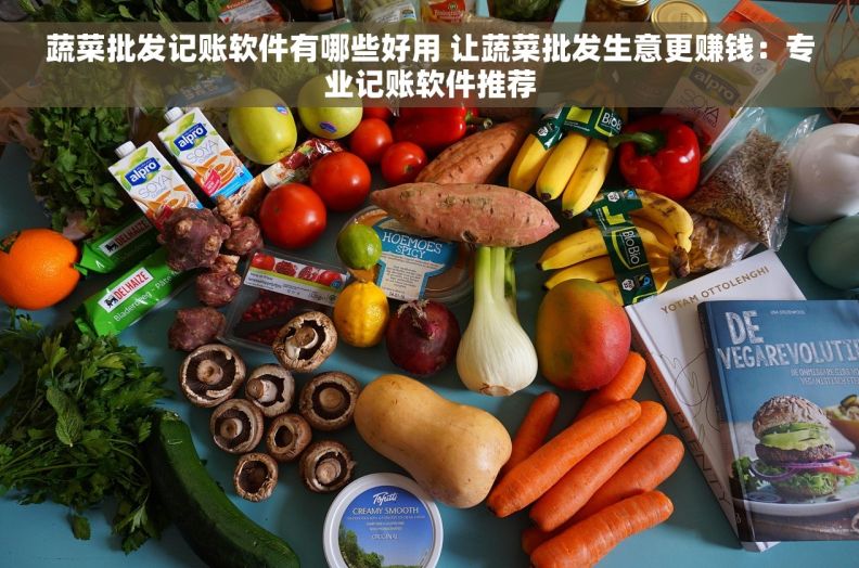 蔬菜批发记账软件有哪些好用 让蔬菜批发生意更赚钱：专业记账软件推荐