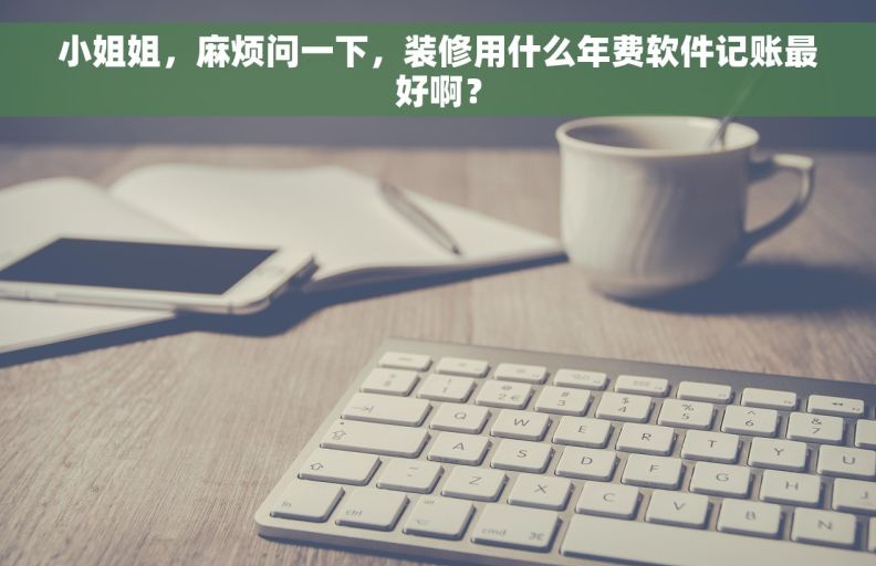 小姐姐，麻烦问一下，装修用什么年费软件记账最好啊？