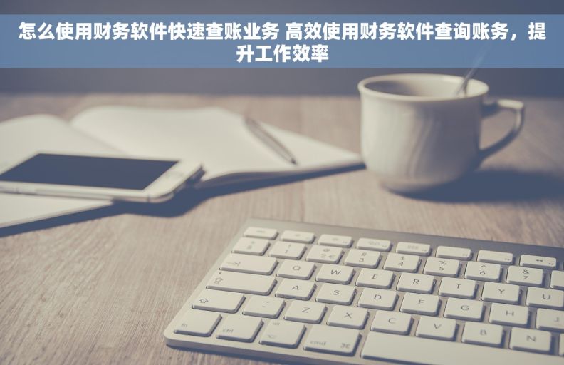 怎么使用财务软件快速查账业务 高效使用财务软件查询账务，提升工作效率