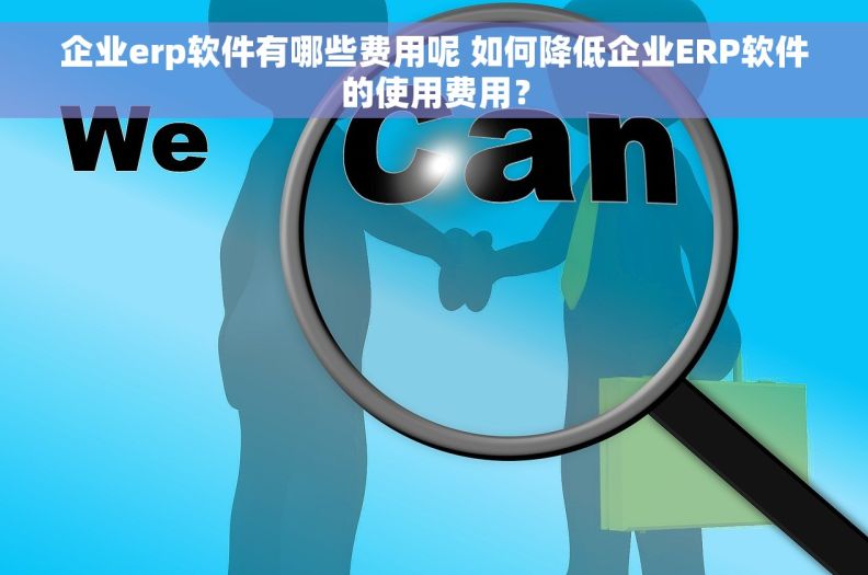 企业erp软件有哪些费用呢 如何降低企业ERP软件的使用费用？