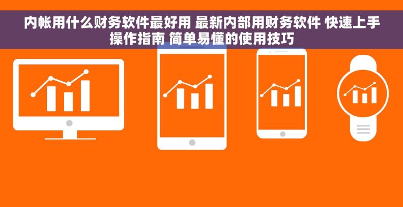 内帐用什么财务软件最好用 最新内部用财务软件 快速上手操作指南 简单易懂的使用技巧