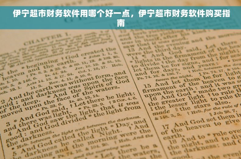  伊宁超市财务软件用哪个好一点，伊宁超市财务软件购买指南