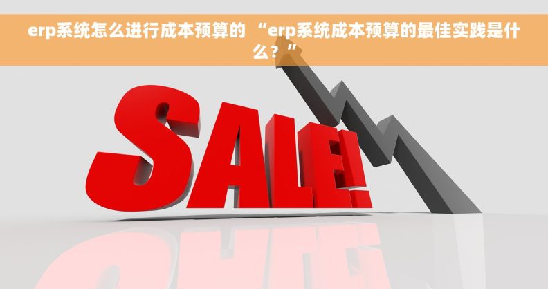erp系统怎么进行成本预算的 “erp系统成本预算的最佳实践是什么？”