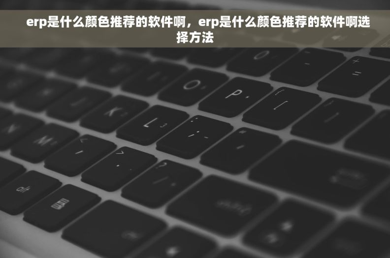 erp是什么颜色推荐的软件啊,erp是什么颜色推荐的软件啊选择方法   erp是什么颜色推荐的软件啊,erp是什么颜色推荐的软件啊选择方法
