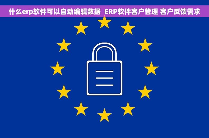 什么erp软件可以自动编辑数据  ERP软件客户管理 客户反馈需求