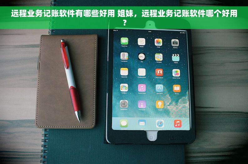 远程业务记账软件有哪些好用 姐妹，远程业务记账软件哪个好用？