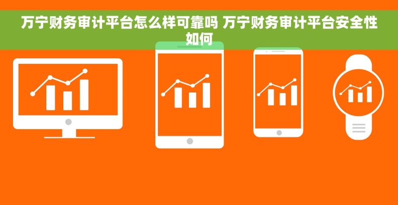 万宁财务审计平台怎么样可靠吗 万宁财务审计平台安全性如何