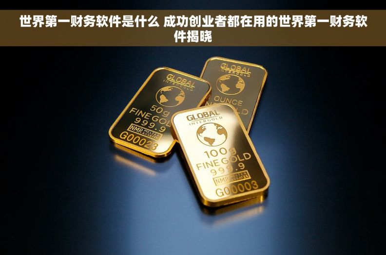 世界第一财务软件是什么 成功创业者都在用的世界第一财务软件揭晓