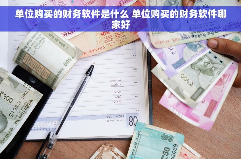 单位购买的财务软件是什么 单位购买的财务软件哪家好