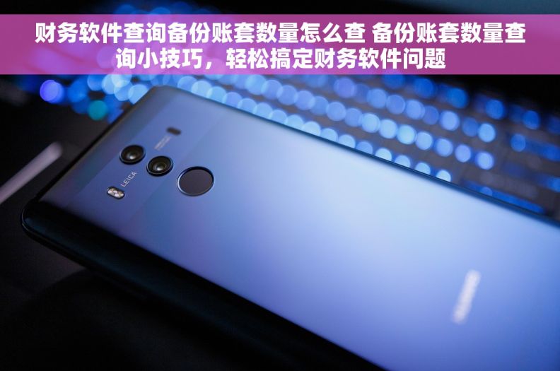 财务软件查询备份账套数量怎么查 备份账套数量查询小技巧，轻松搞定财务软件问题