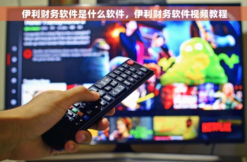  伊利财务软件是什么软件，伊利财务软件视频教程