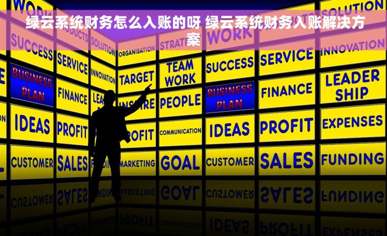  绿云系统财务怎么入账的呀 绿云系统财务入账解决方案