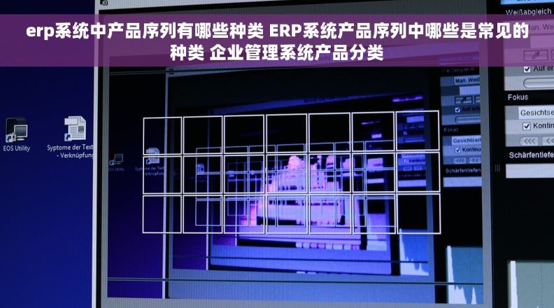 erp系统中产品序列有哪些种类 ERP系统产品序列中哪些是常见的种类 企业管理系统产品分类