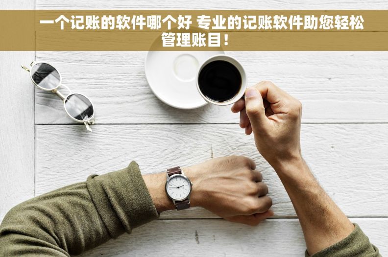 一个记账的软件哪个好 专业的记账软件助您轻松管理账目! 一个记账的软件哪个好 专业的记账软件助您轻松管理账目!