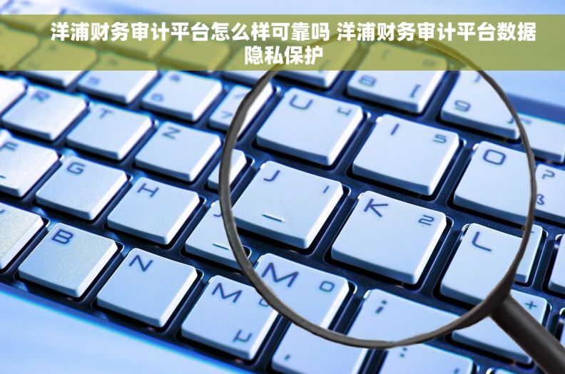 洋浦财务审计平台怎么样可靠吗 洋浦财务审计平台数据隐私保护 洋浦财务审计平台怎么样可靠吗 洋浦财务审计平台数据隐私保护