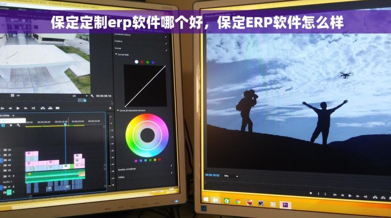  保定定制erp软件哪个好，保定ERP软件怎么样