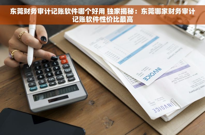 东莞财务审计记账软件哪个好用 独家揭秘：东莞哪家财务审计记账软件性价比最高