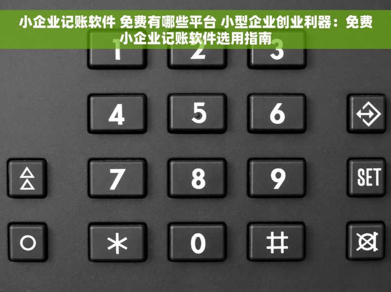 小企业记账软件 免费有哪些平台 小型企业创业利器：免费小企业记账软件选用指南
