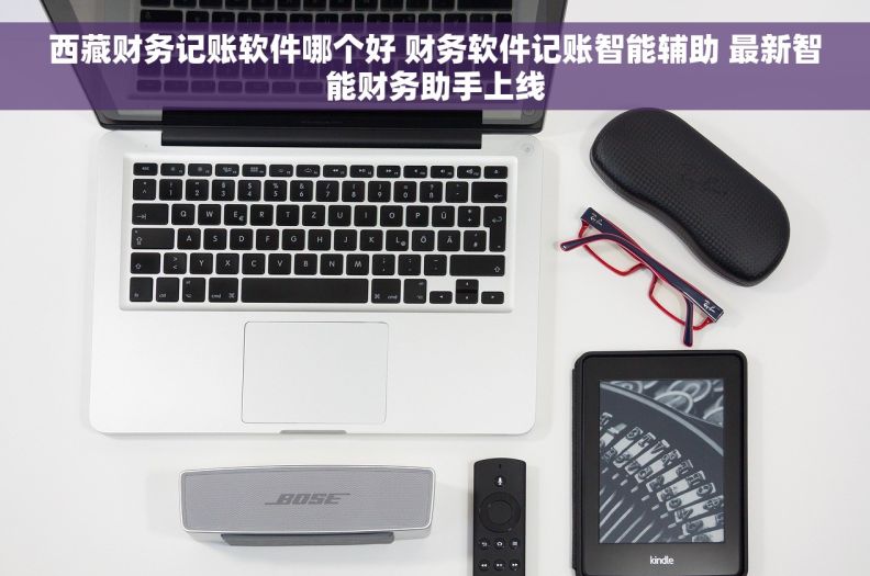 西藏财务记账软件哪个好 财务软件记账智能辅助 最新智能财务助手上线