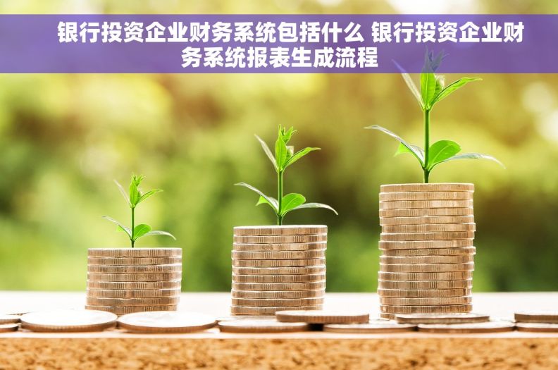银行投资企业财务系统包括什么 银行投资企业财务系统报表生成流程 银行投资企业财务系统包括什么 银行投资企业财务系统报表生成流程