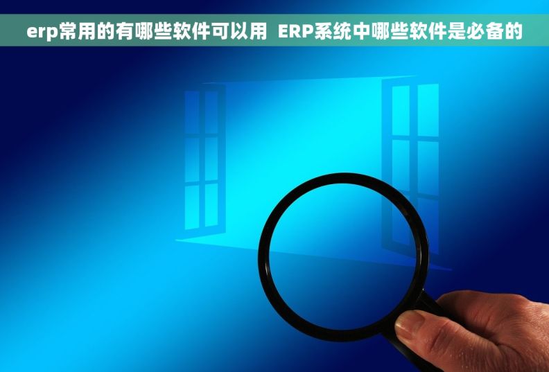 erp常用的有哪些软件可以用  ERP系统中哪些软件是必备的