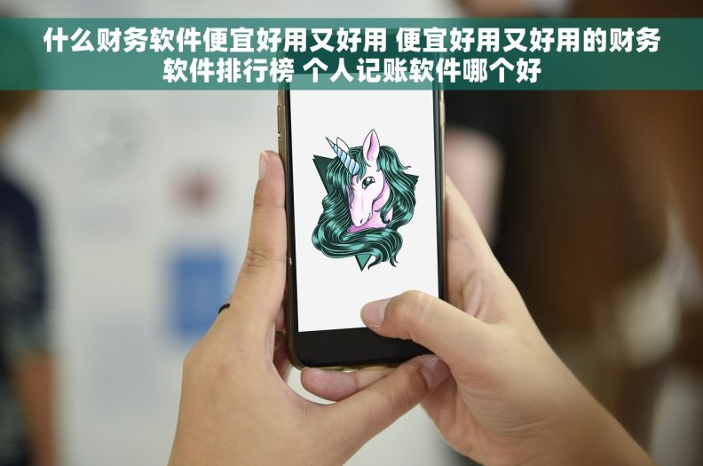 什么财务软件便宜好用又好用 便宜好用又好用的财务软件排行榜 个人记账软件哪个好