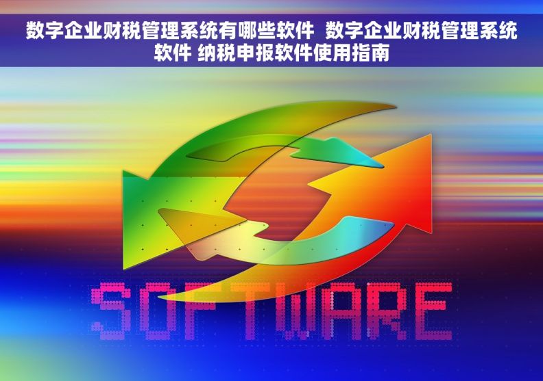 数字企业财税管理系统有哪些软件  数字企业财税管理系统软件 纳税申报软件使用指南