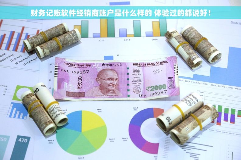 财务记账软件经销商账户是什么样的 体验过的都说好！