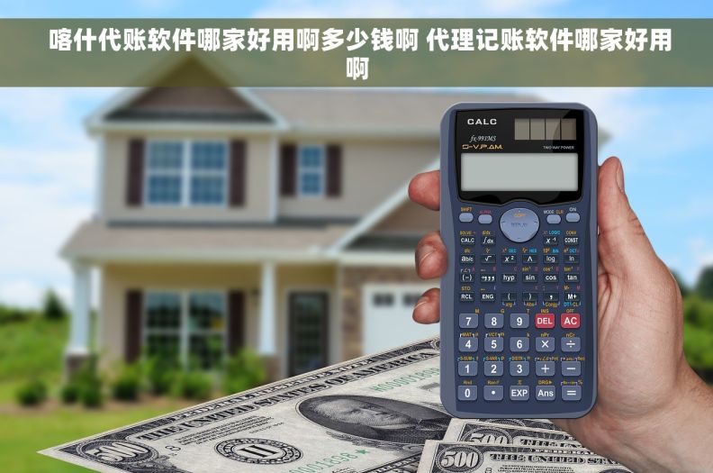  喀什代账软件哪家好用啊多少钱啊 代理记账软件哪家好用啊