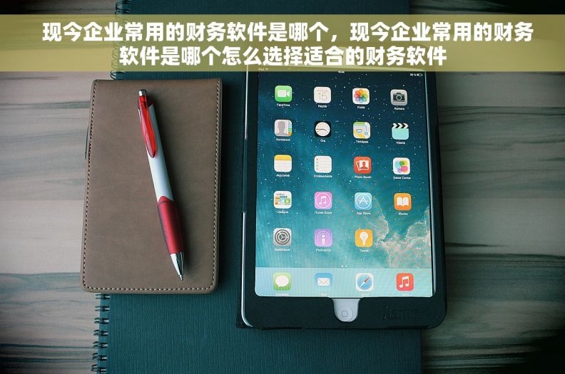   现今企业常用的财务软件是哪个，现今企业常用的财务软件是哪个怎么选择适合的财务软件