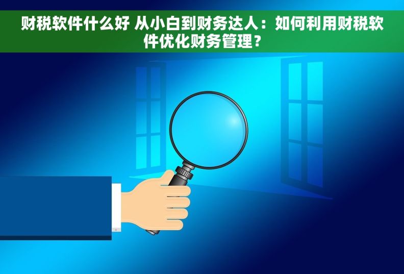 财税软件什么好 从小白到财务达人：如何利用财税软件优化财务管理？