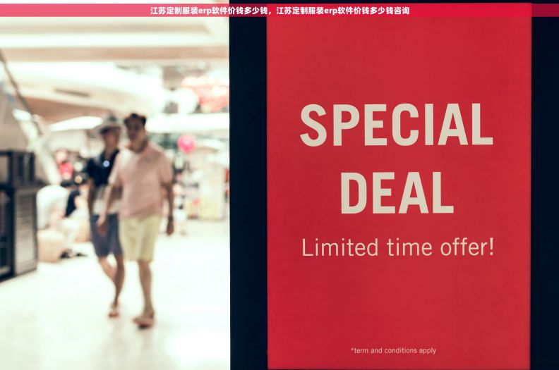 江苏定制服装erp软件价钱多少钱，江苏定制服装erp软件价钱多少钱咨询
