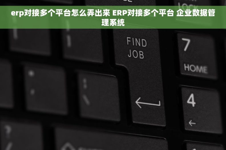 erp对接多个平台怎么弄出来 ERP对接多个平台 企业数据管理系统