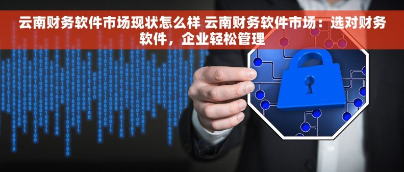 云南财务软件市场现状怎么样 云南财务软件市场：选对财务软件，企业轻松管理