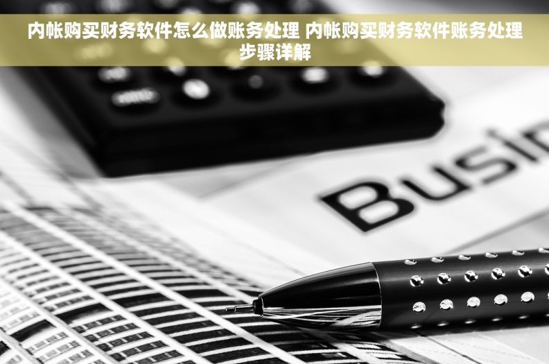 内帐购买财务软件怎么做账务处理 内帐购买财务软件账务处理步骤详解