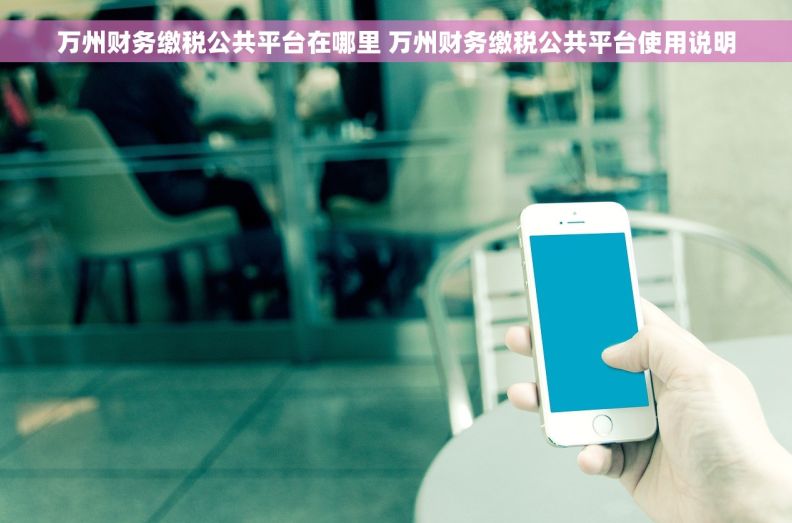 万州财务缴税公共平台在哪里 万州财务缴税公共平台使用说明