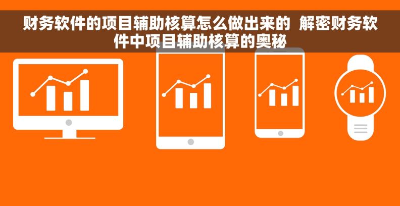 财务软件的项目辅助核算怎么做出来的  解密财务软件中项目辅助核算的奥秘