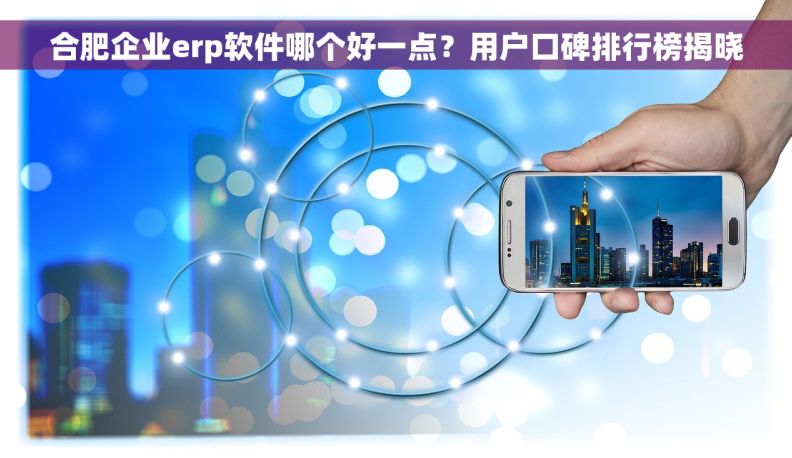 合肥企业erp软件哪个好一点？用户口碑排行榜揭晓