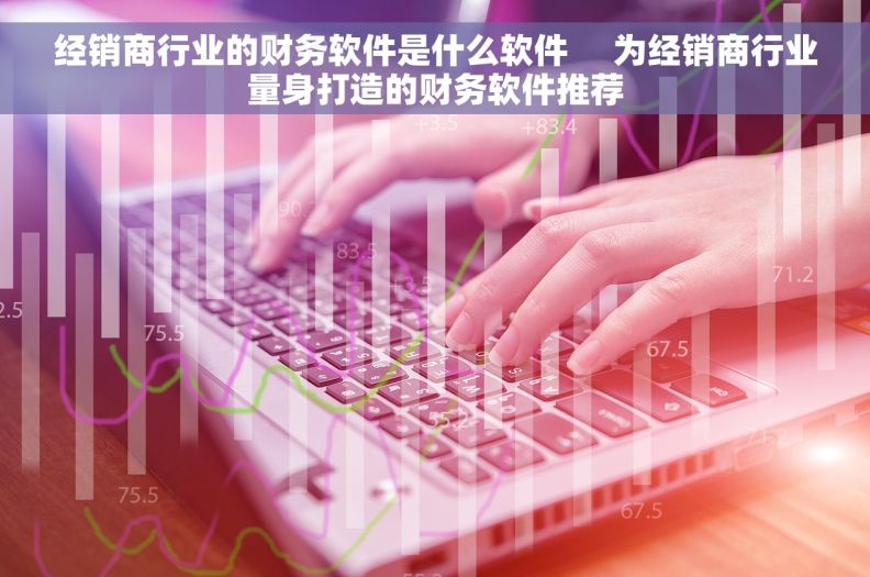 经销商行业的财务软件是什么软件     为经销商行业量身打造的财务软件推荐