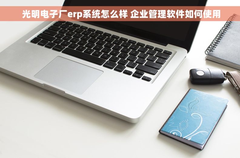  光明电子厂erp系统怎么样 企业管理软件如何使用