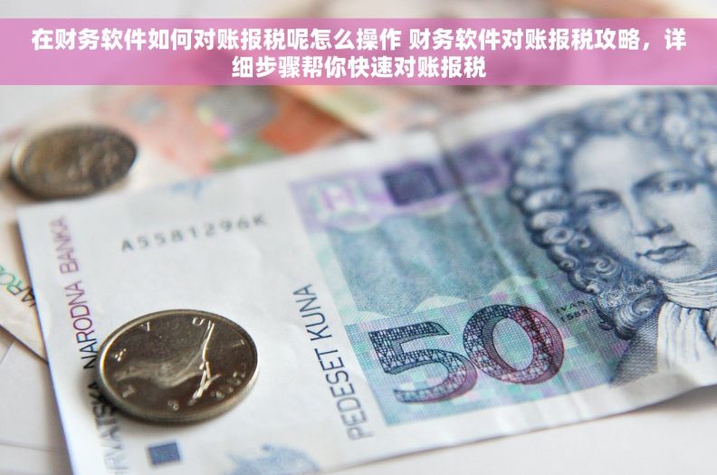 在财务软件如何对账报税呢怎么操作 财务软件对账报税攻略，详细步骤帮你快速对账报税