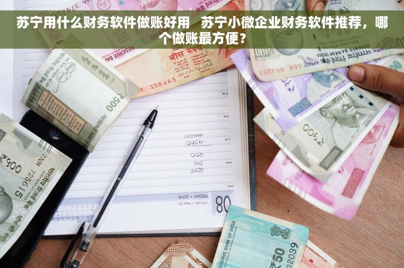 苏宁用什么财务软件做账好用   苏宁小微企业财务软件推荐,哪个做账最方便? 苏宁用什么财务软件做账好用   苏宁小微企业财务软件推荐,哪个做账最方便?