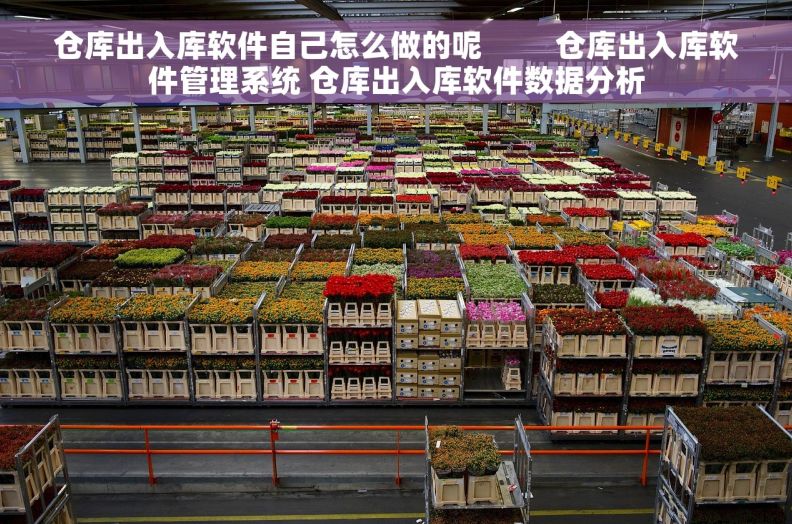 仓库出入库软件自己怎么做的呢         仓库出入库软件管理系统 仓库出入库软件数据分析